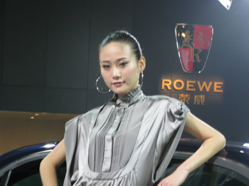 Illustration for article titled The Booth Professionals of the 2008 Guangzhou International Auto Show